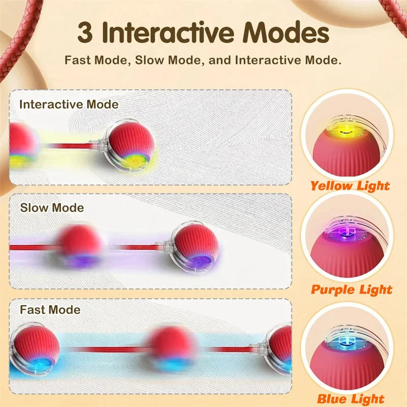 Automatic Rechargeable Interactive Dog Ball Toy