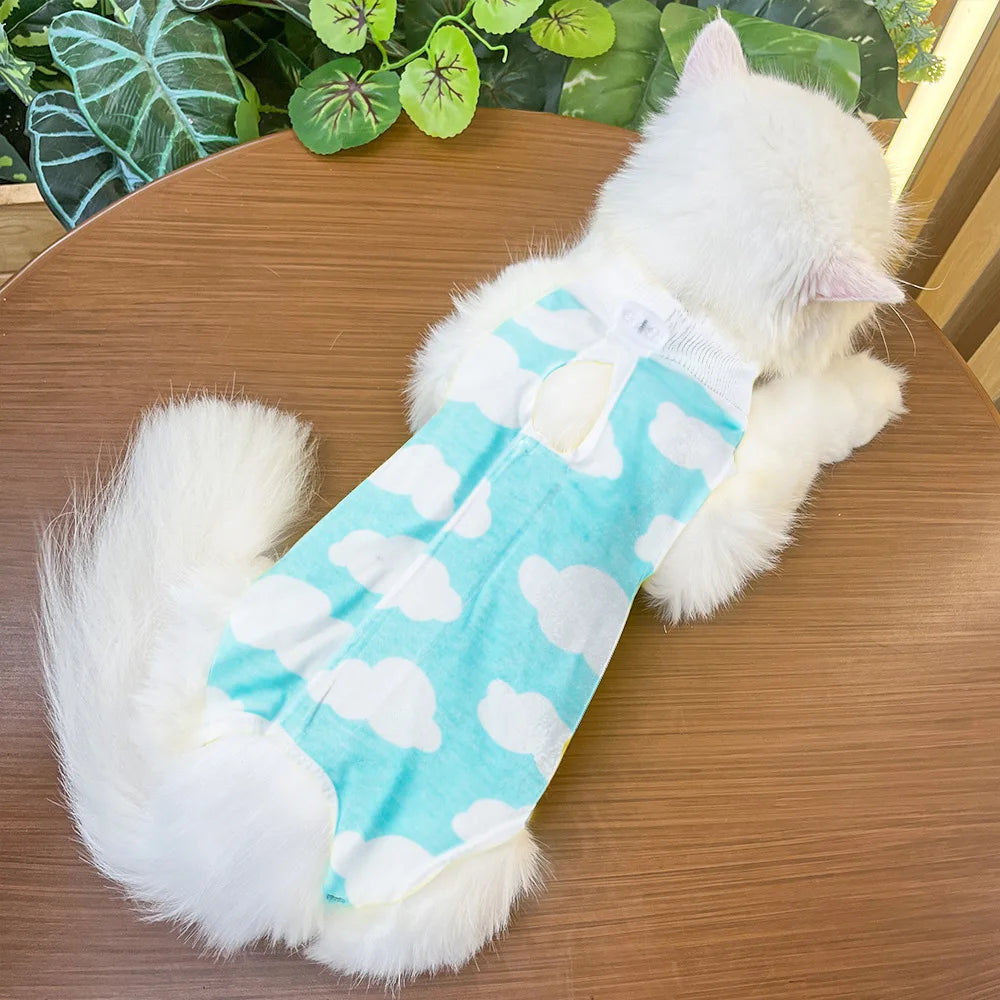 Cat Anti-Lick Recovery Suit