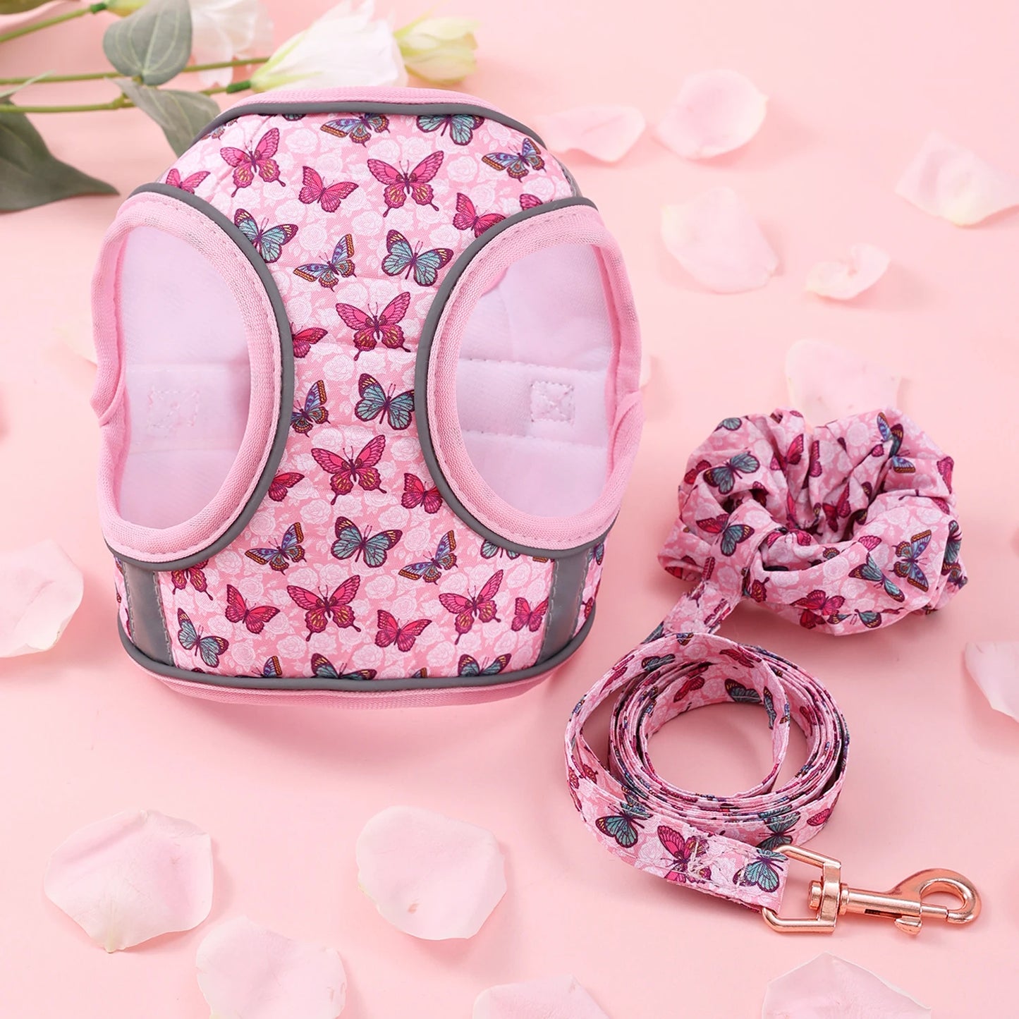 Soft Adjustable Dog Harness & Leash Set