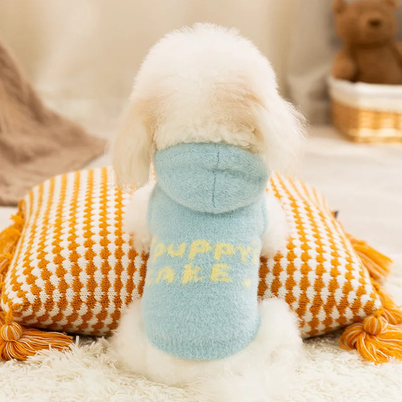 Letter Dog Sweater