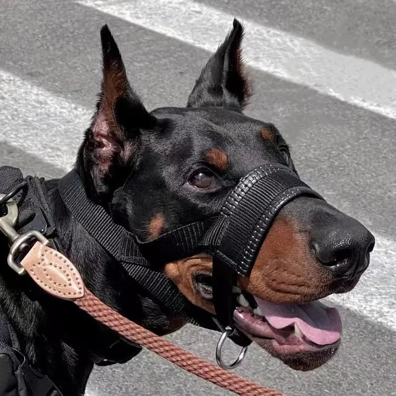 Breathable Nylon Dog Muzzle
