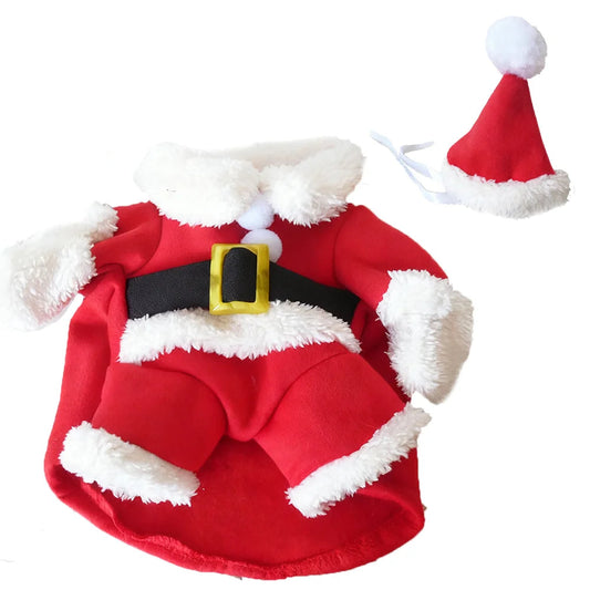 Christmas Santa Pet Costume