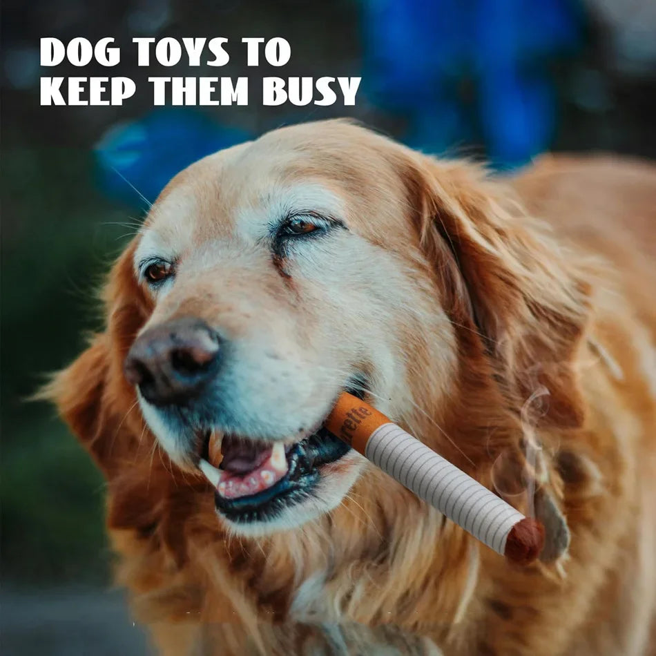 Funny Plush Squeaky Dog Toy