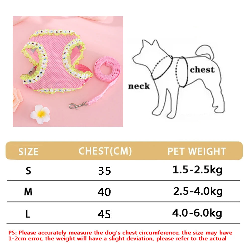 Soft Adjustable Dog Harness & Leash Set
