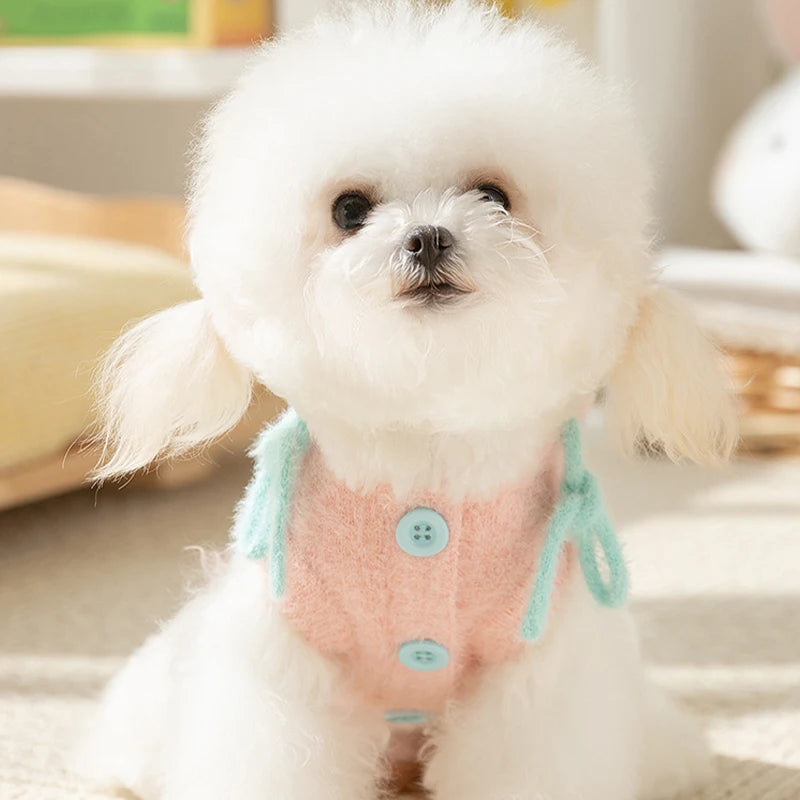 Letter Dog Sweater