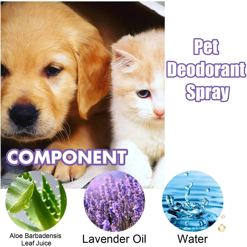 Lavender Dog Deodorizing Spray for Odor Control