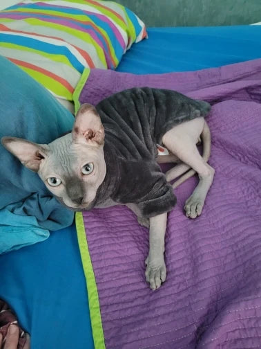 Sphynx Cat Hoodie
