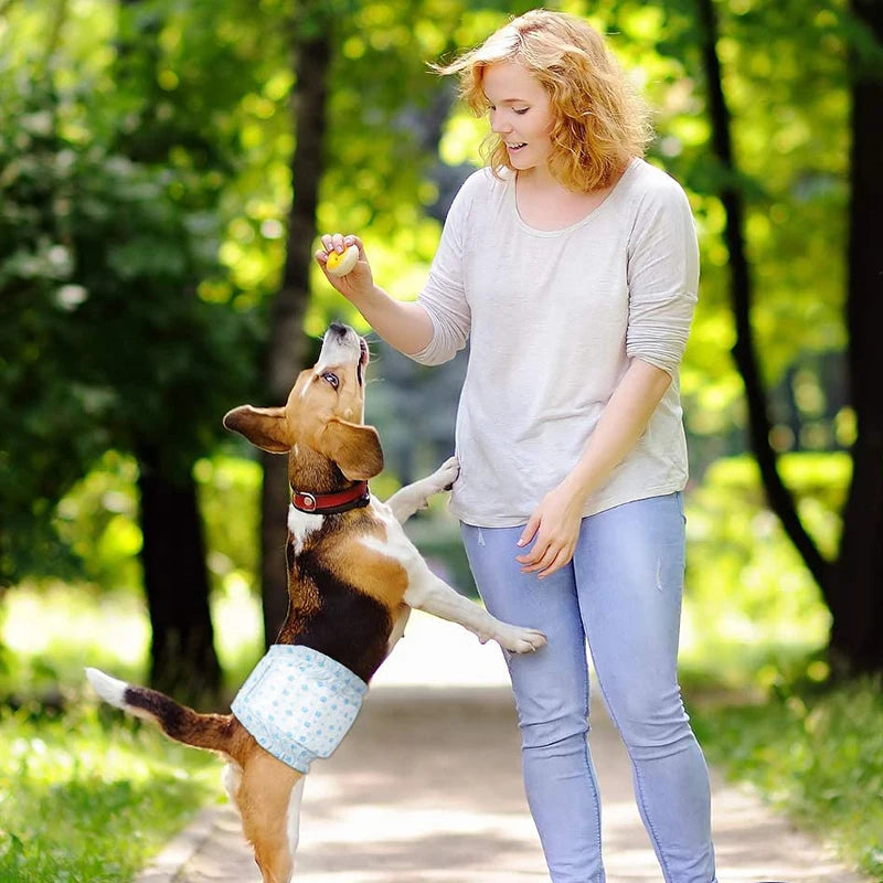 10-Pack Disposable Pet Diapers for Dogs & Cats