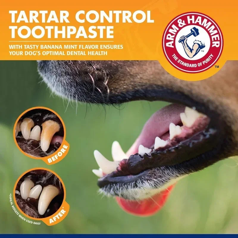 Pet Toothbrush & Toothpaste Care Kit