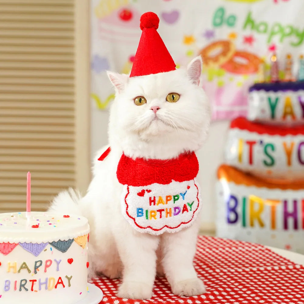 Pet Birthday Hat & Scarf Set