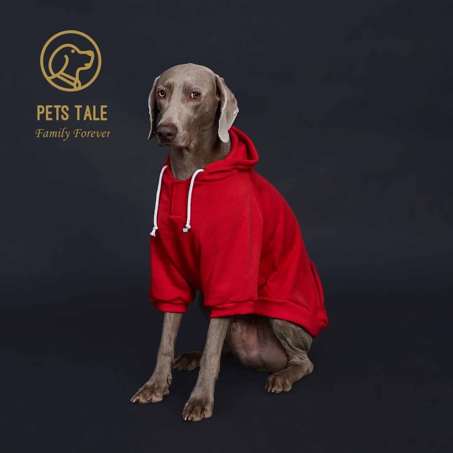 Dog Hoodie with Pocket