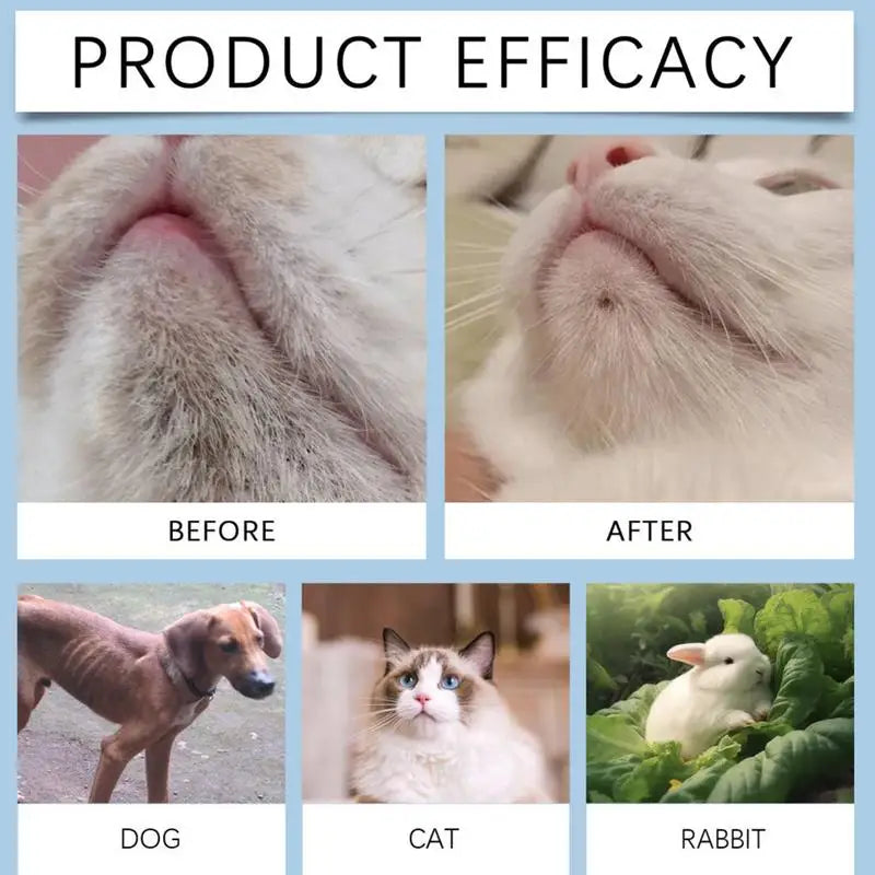Pet Chin Cleaner & Acne Care Lotion (30g)