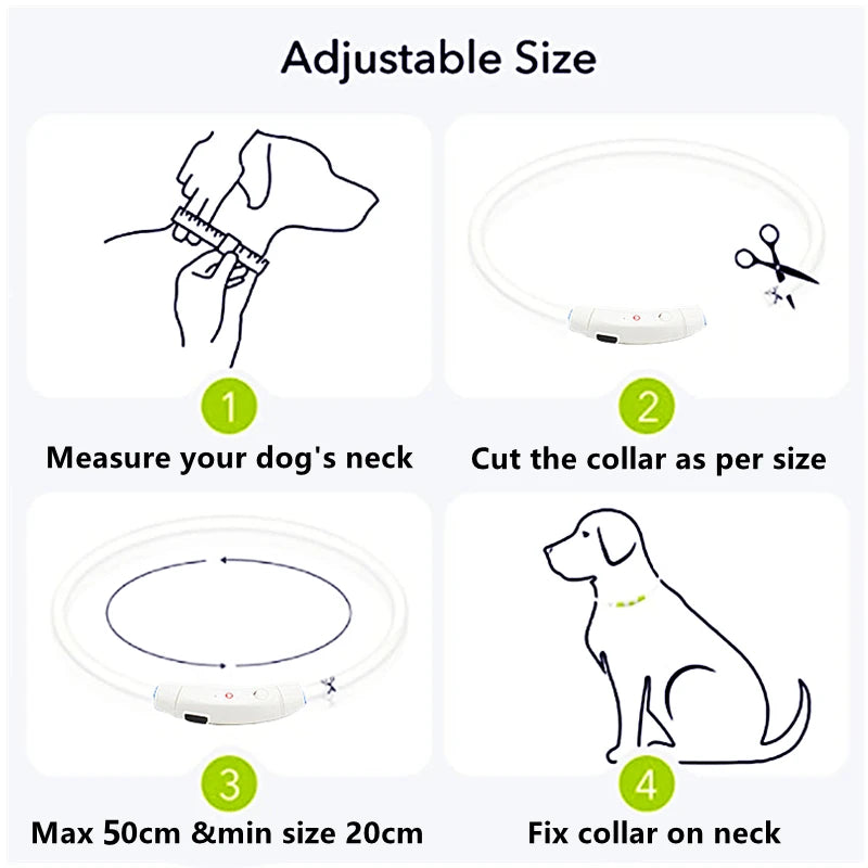 USB Rechargeable LED Glowing Pet Collar