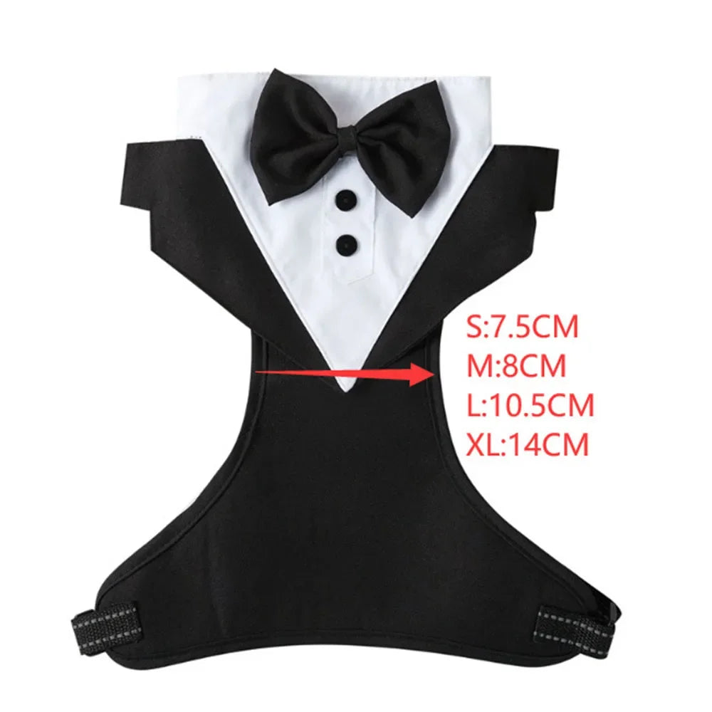 Dog Tuxedo Suit