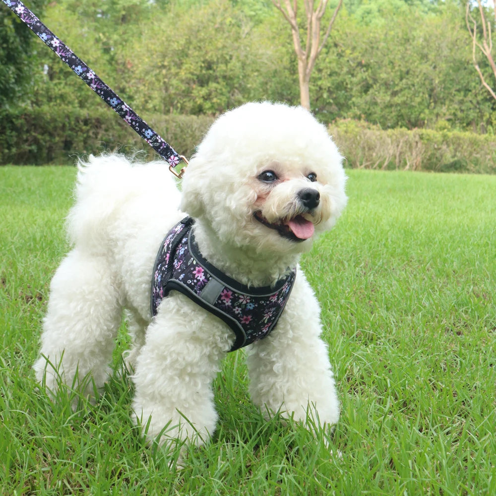 Soft Adjustable Dog Harness & Leash Set