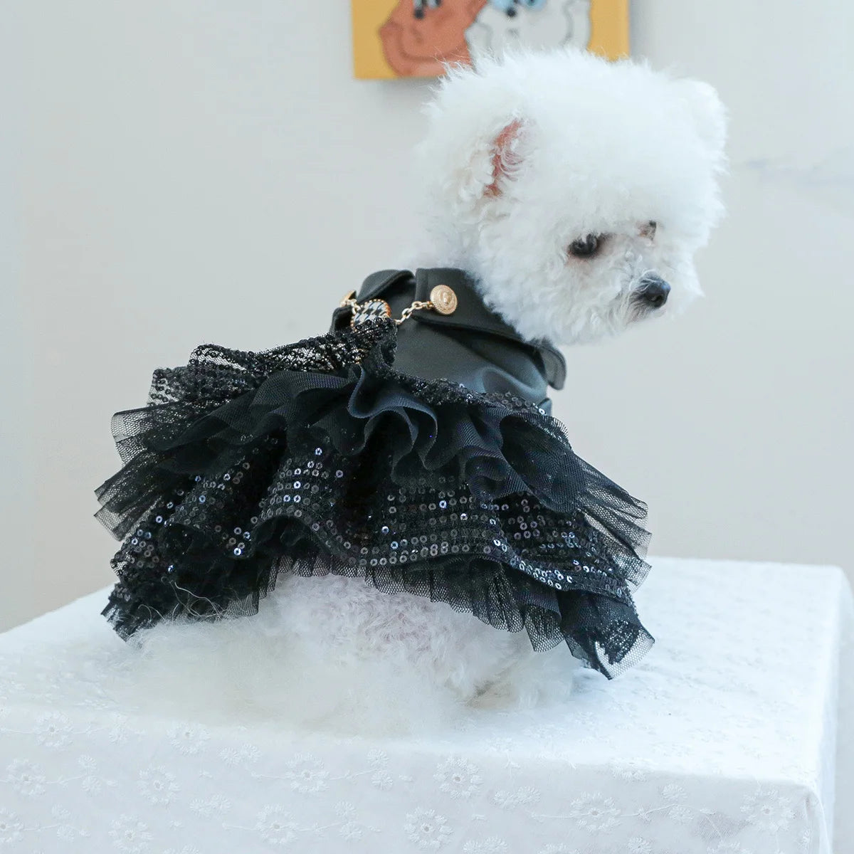 Punk Sequin Pet Dress
