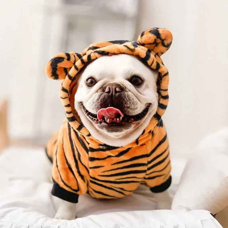 Coral Fleece Pet Costume
