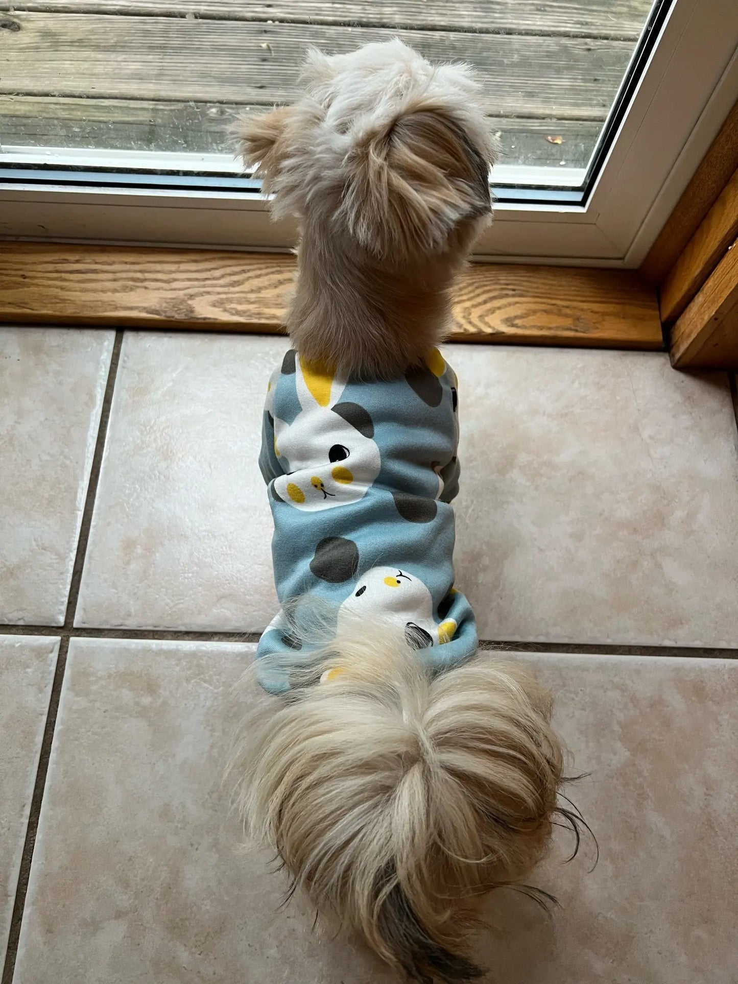 Small Dog Pet Jacket Shirt
