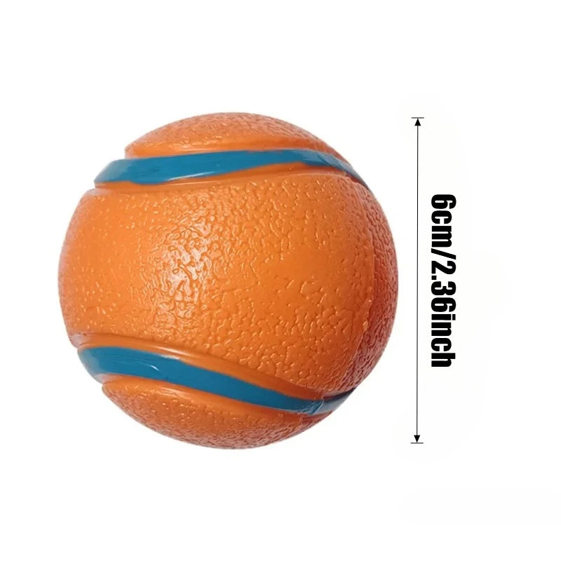 Durable Dog Fetch Ball Toy
