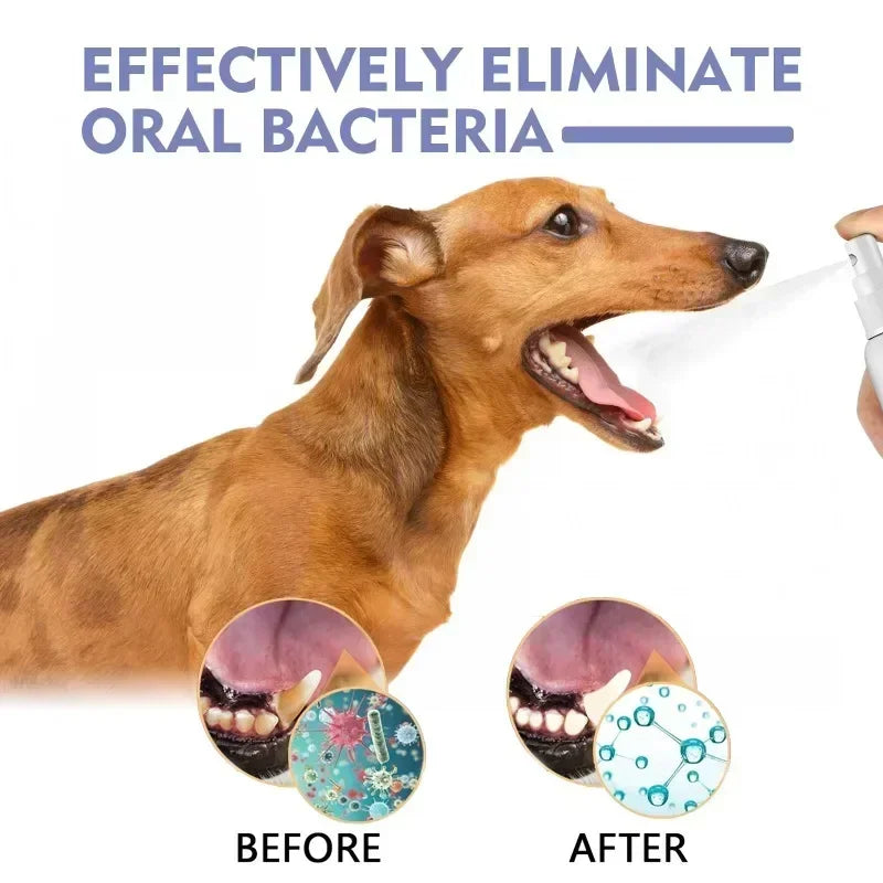 Pet Teeth Cleaning Spray for Fresh Breath