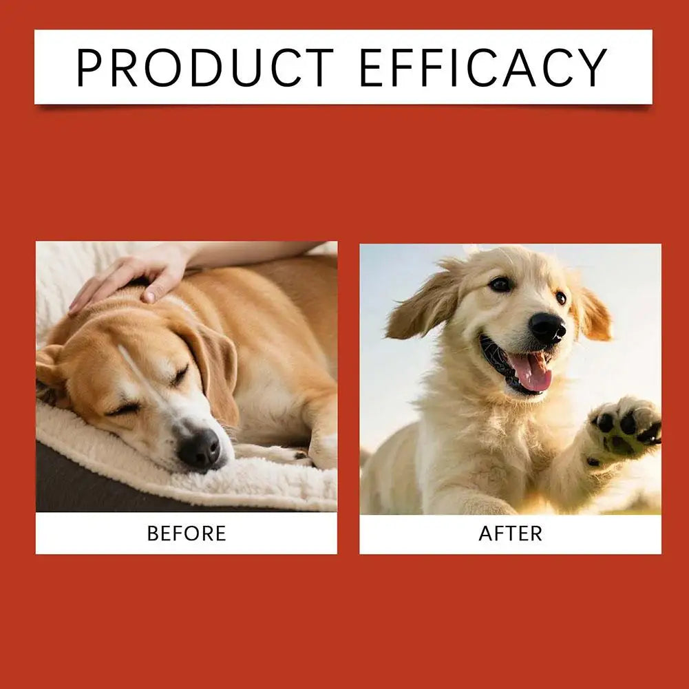 Dog Probiotic Soft Granules (100g)