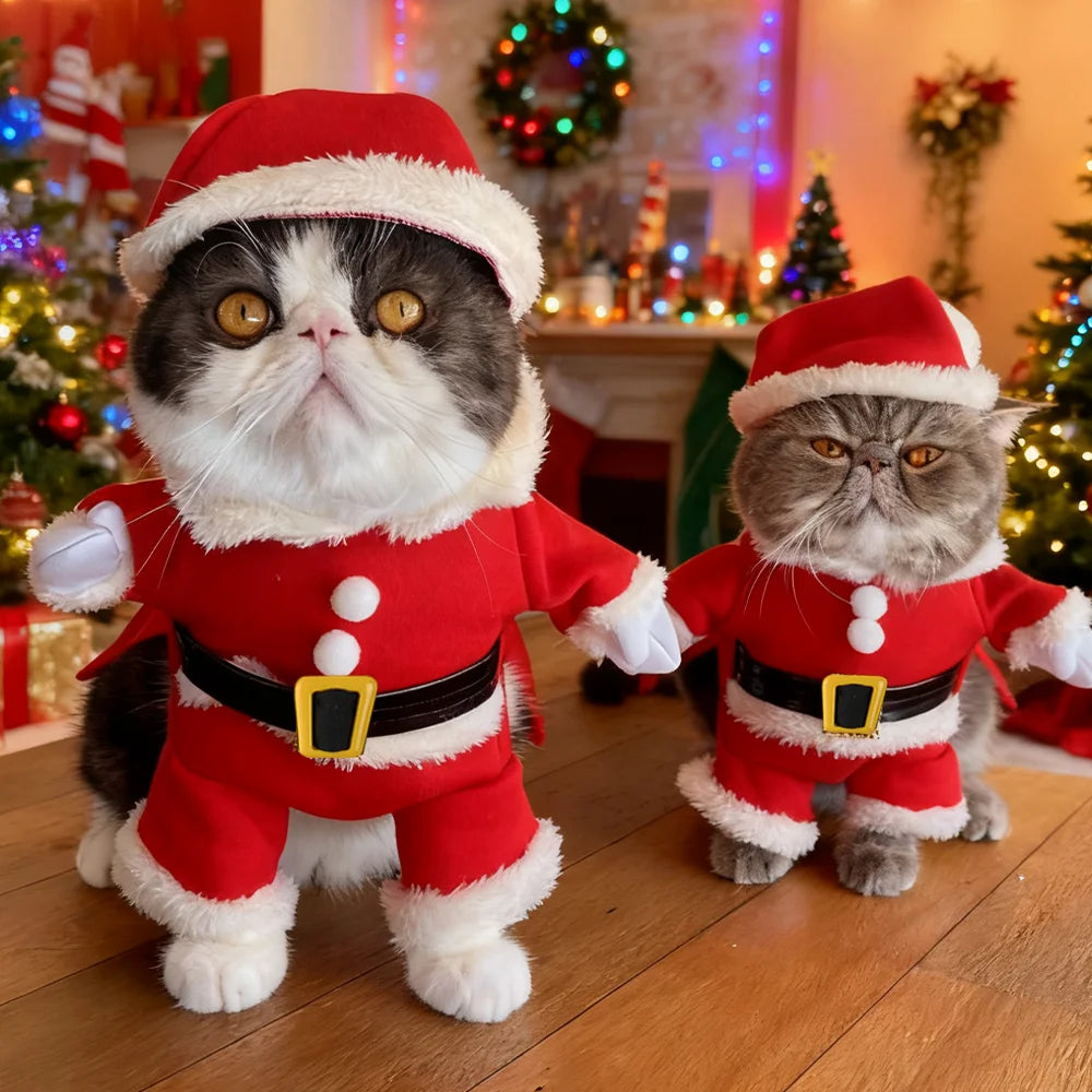 Christmas Santa Pet Costume