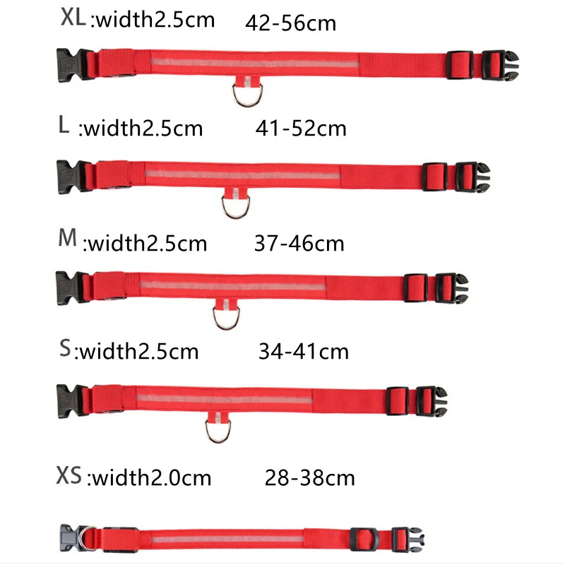 USB Rechargeable LED Glowing Pet Collar