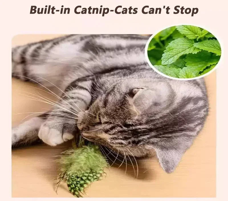 Interactive Hanging Bird Cat Toy with Catnip