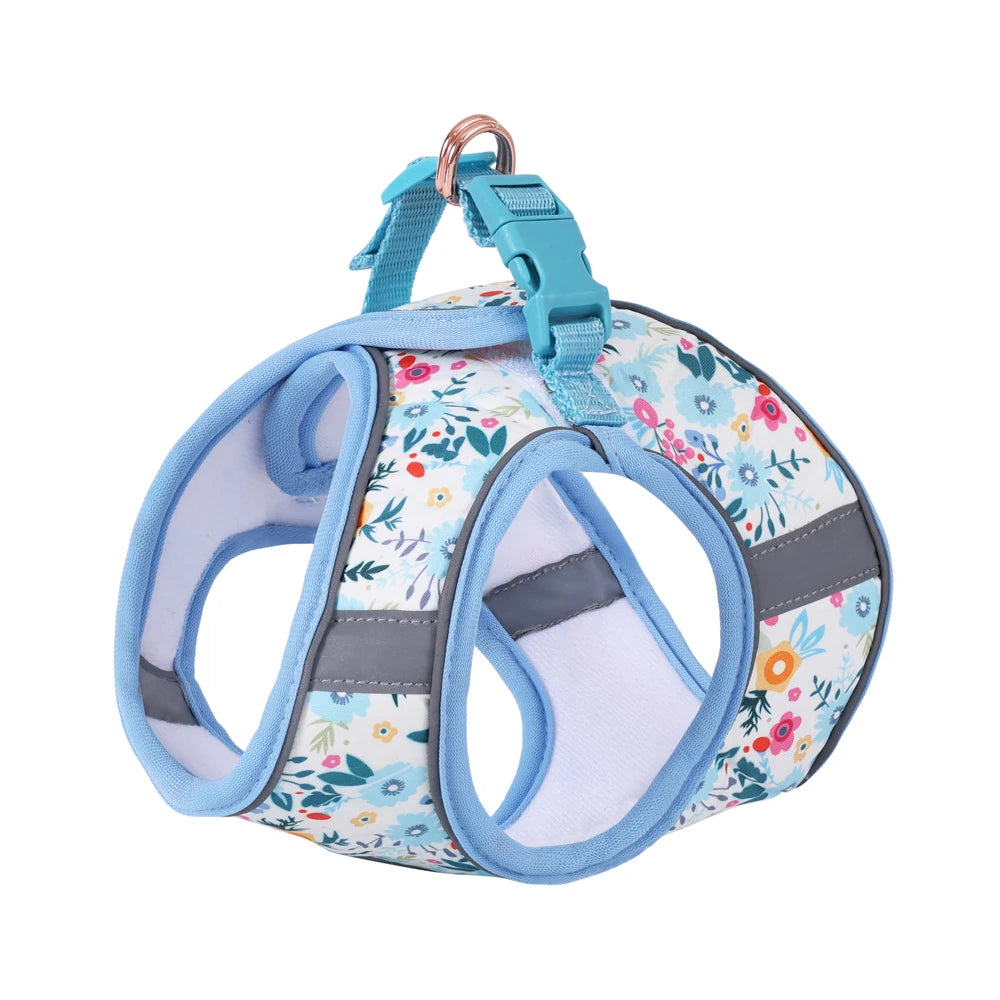 Soft Adjustable Dog Harness & Leash Set