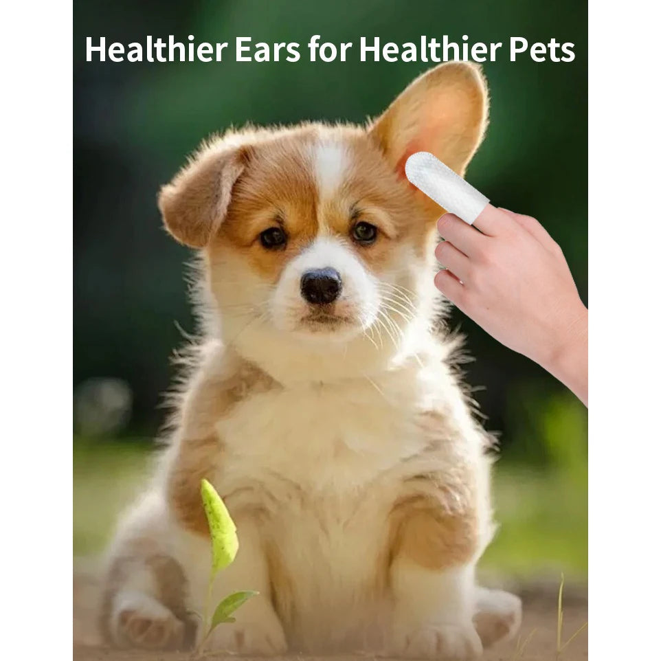 Pet Ear Cleaning Wipes & Care Kit