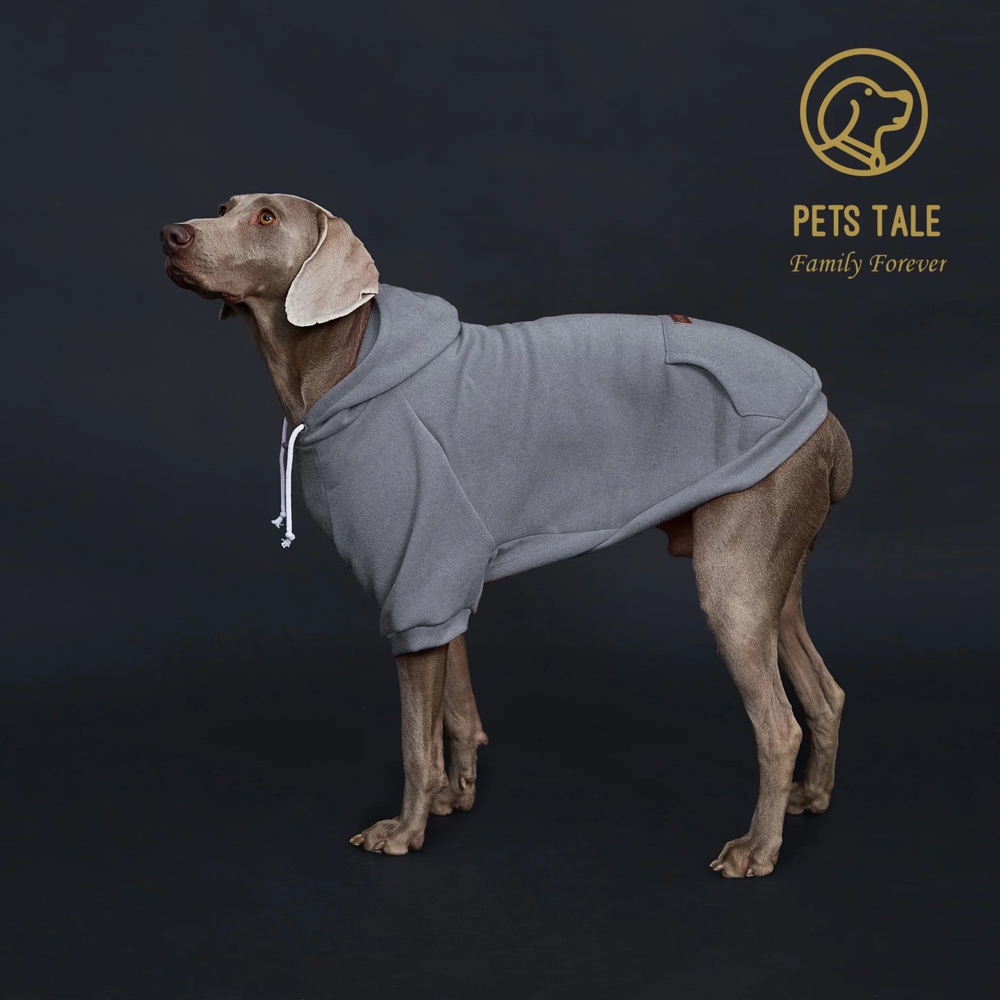 Dog Hoodie with Pocket