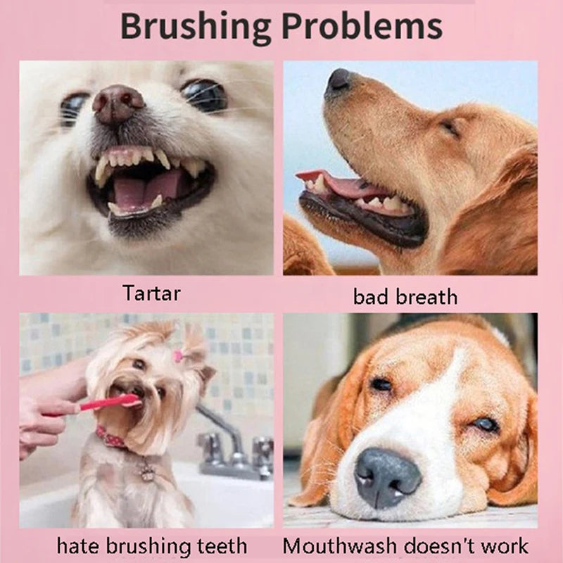 3-Sided Soft Pet Toothbrush