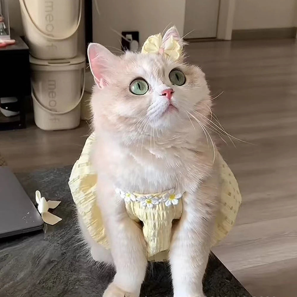 Floral Pet Dress