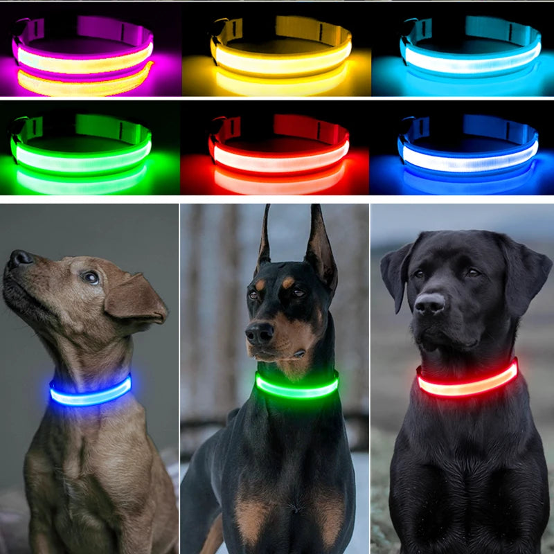 USB Rechargeable LED Glowing Pet Collar