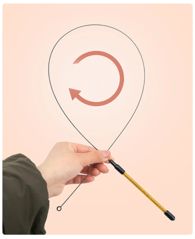 Interactive Bird Feather Cat Teaser Toy