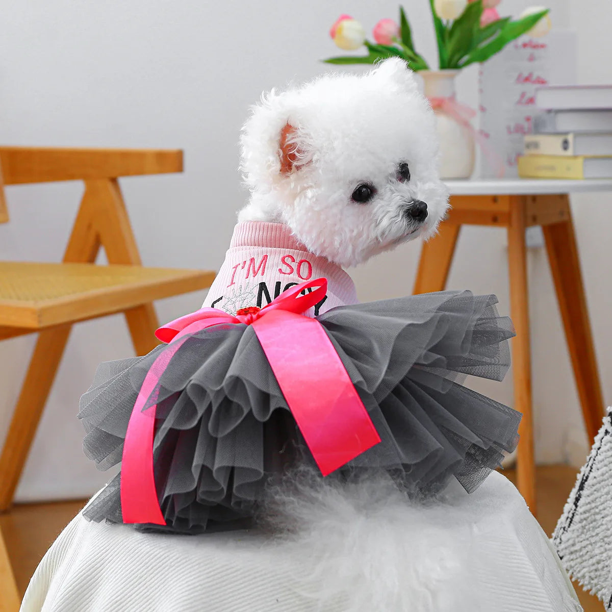 Princess Pet Dress