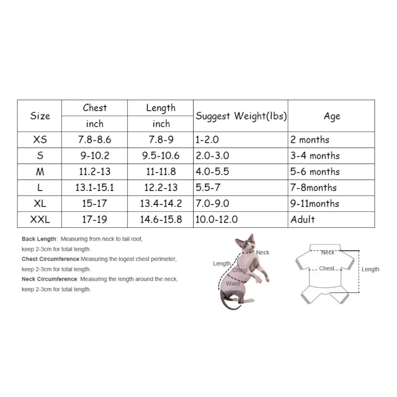 Sphynx Cat Shirt
