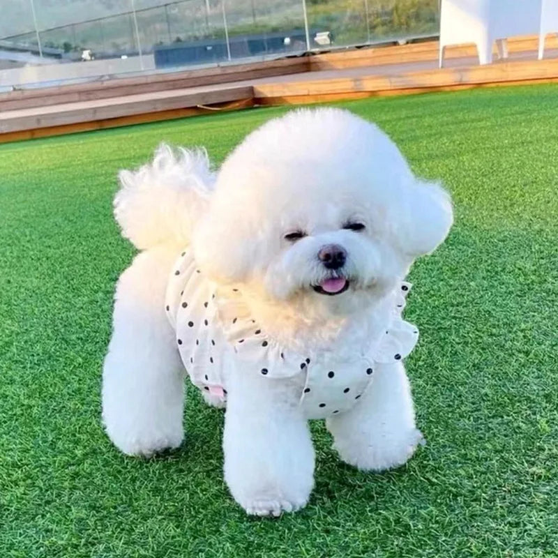 Dot Pet Dress