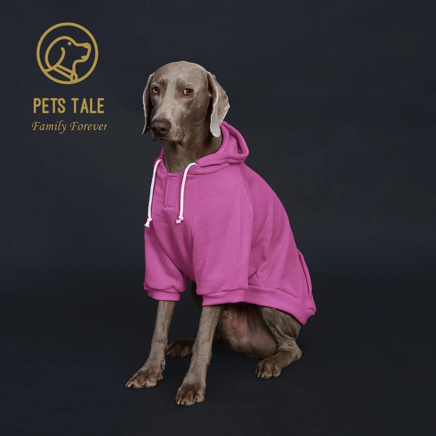 Dog Hoodie with Pocket
