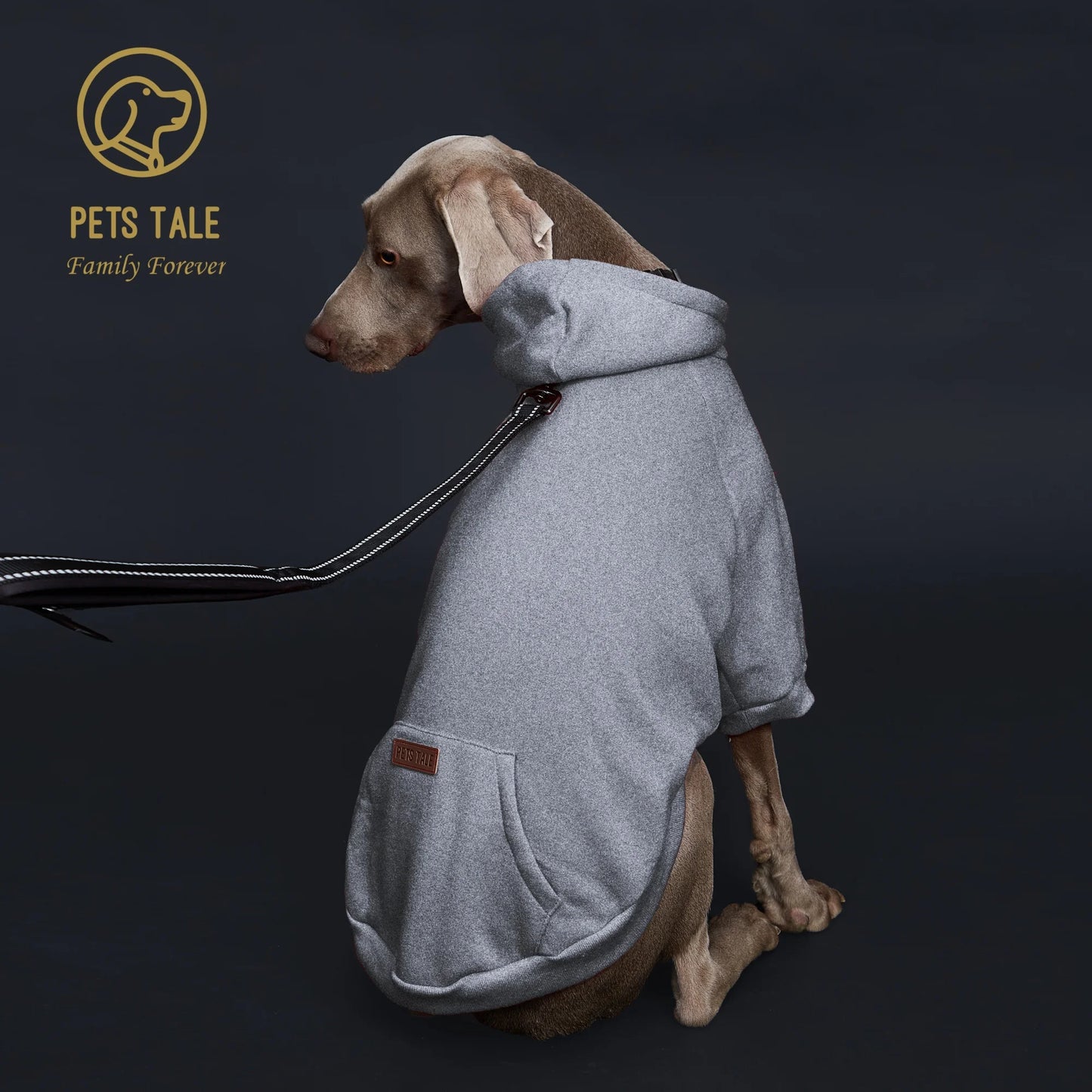 Dog Hoodie with Pocket