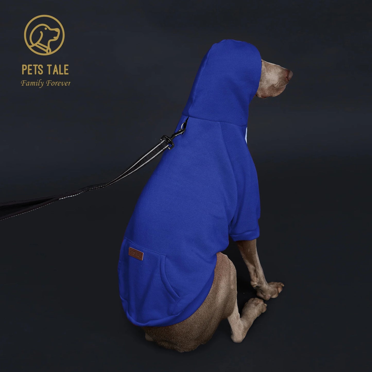 Dog Hoodie with Pocket