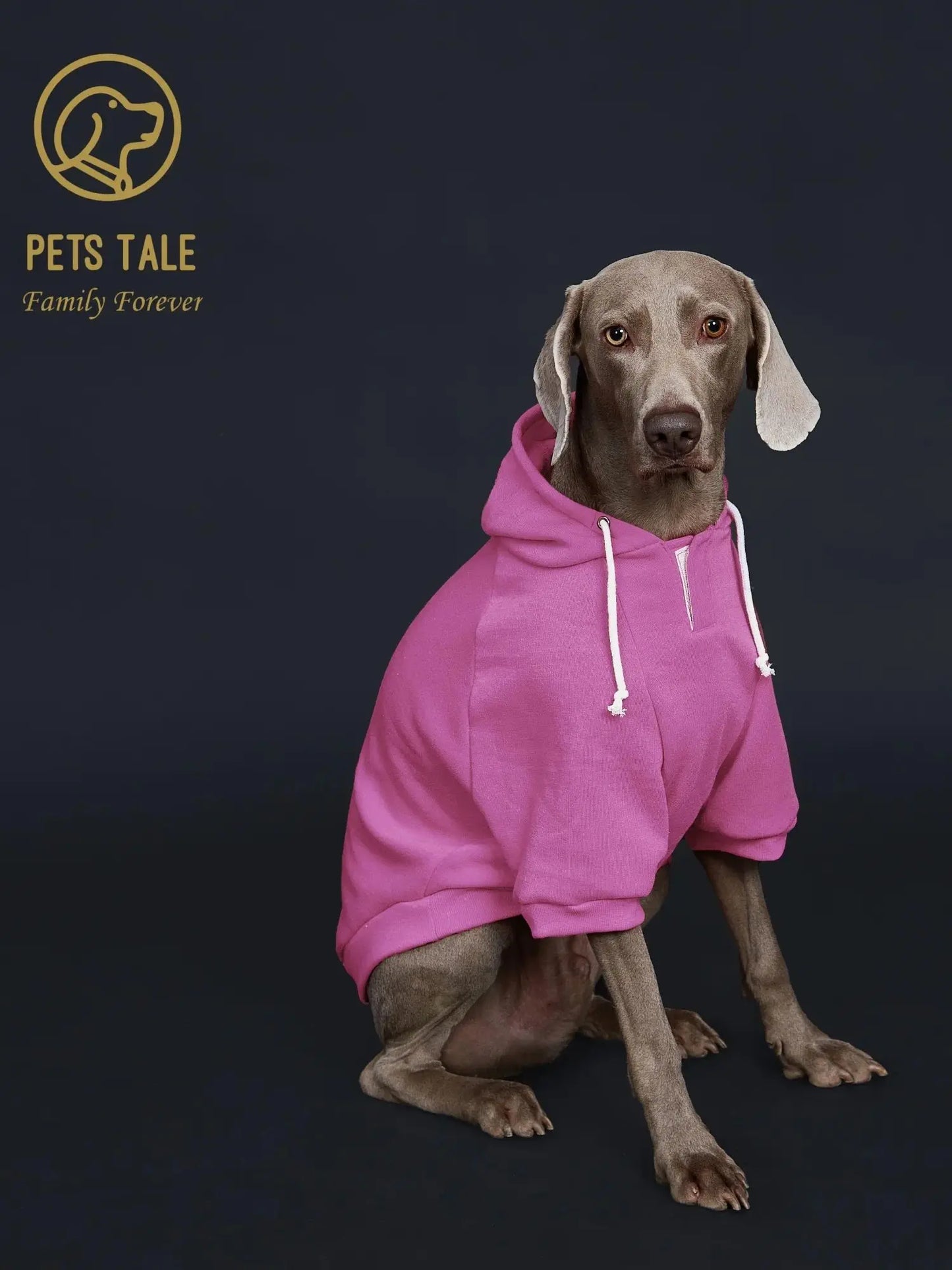 Dog Hoodie with Pocket