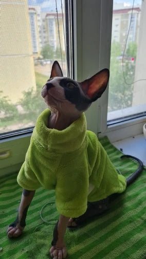 Sphynx Cat Hoodie