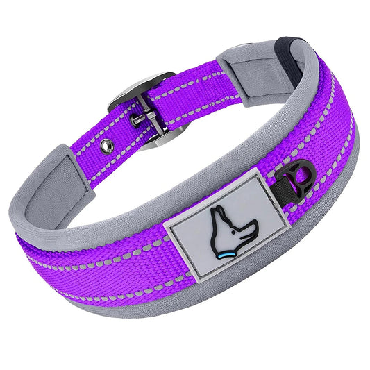 Reflective Padded Heavy-Duty Dog Collar