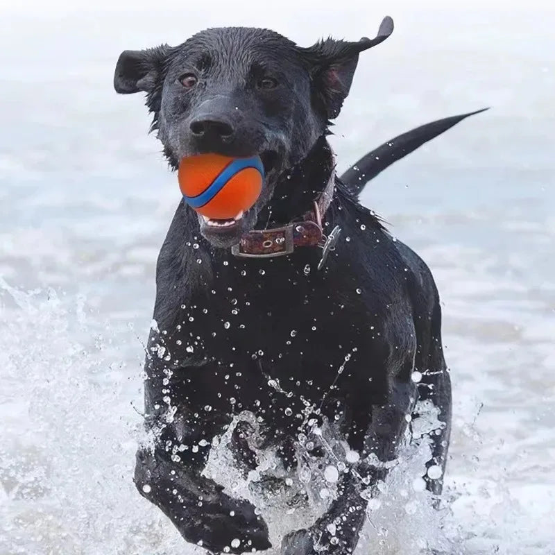Durable Dog Fetch Ball Toy
