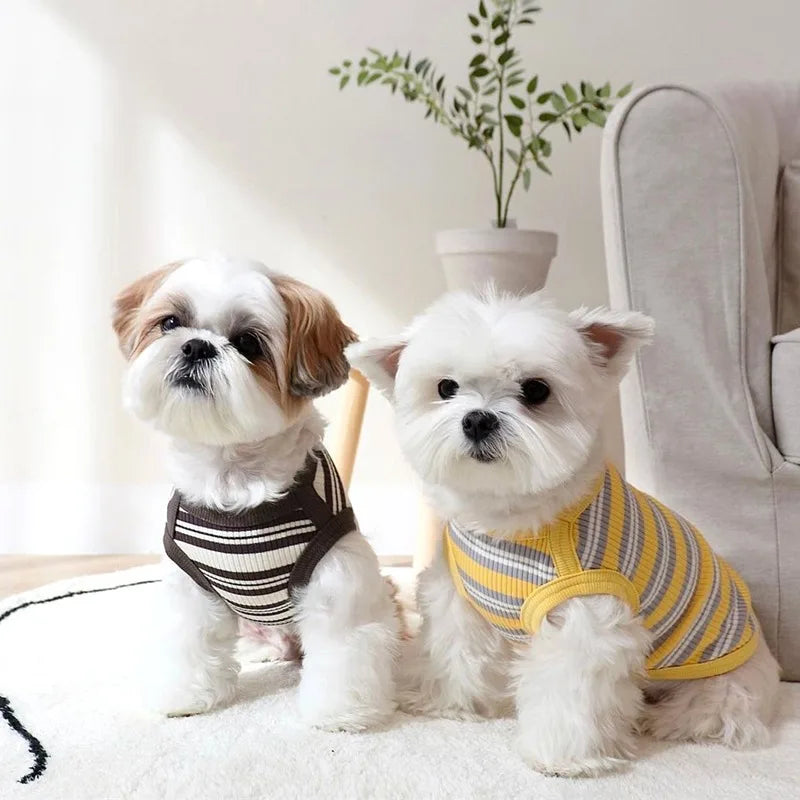 Striped Dog Vest
