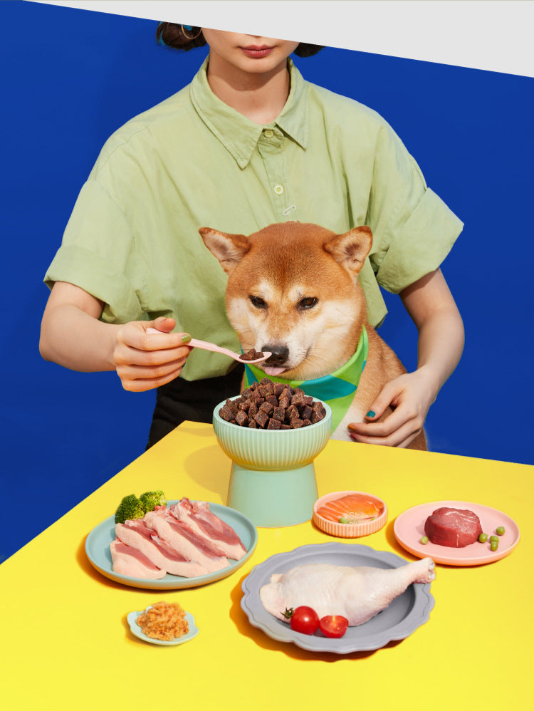 Soft Double Flavor Dog Food
