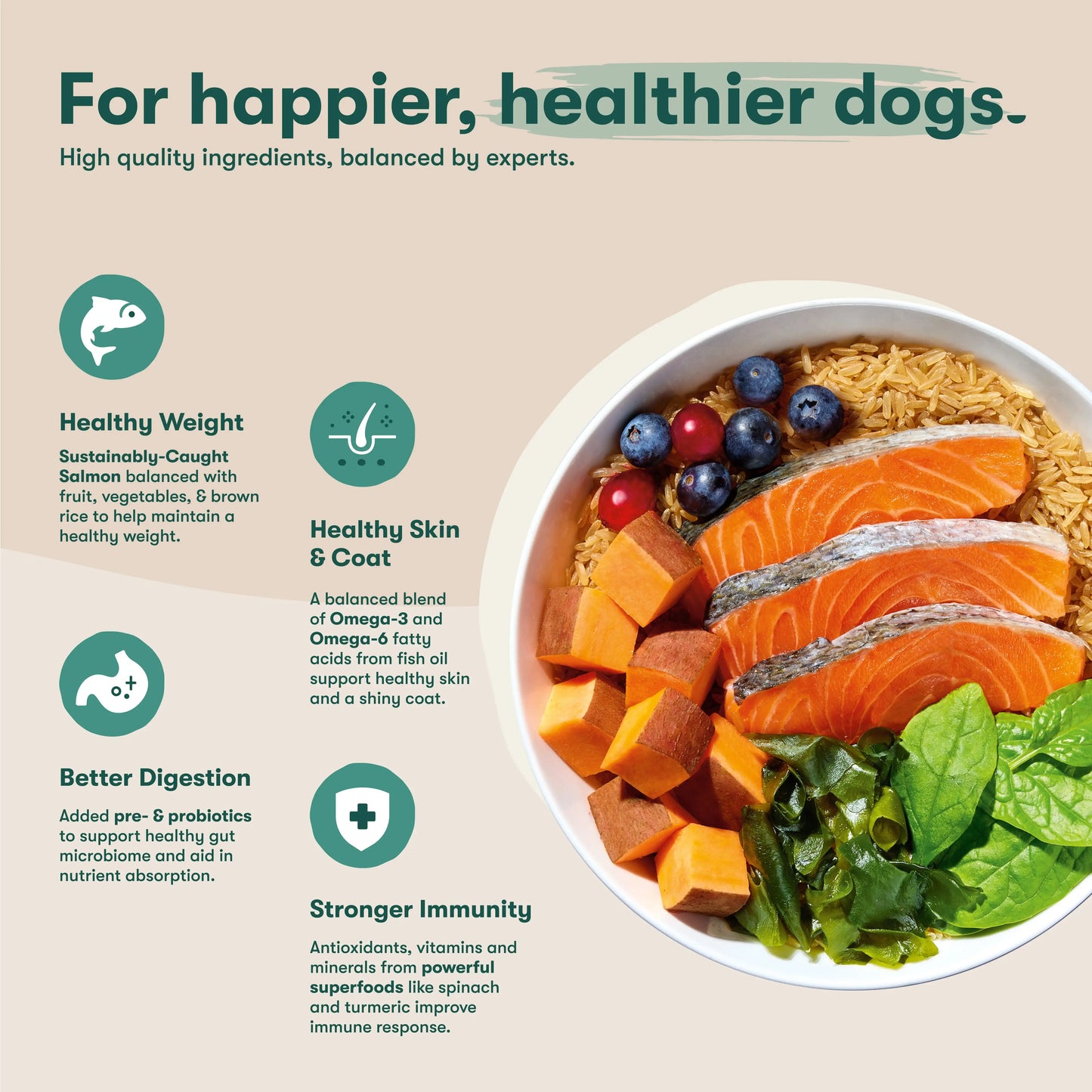 Salmon & Brown Rice Dog Food 30lb Bag