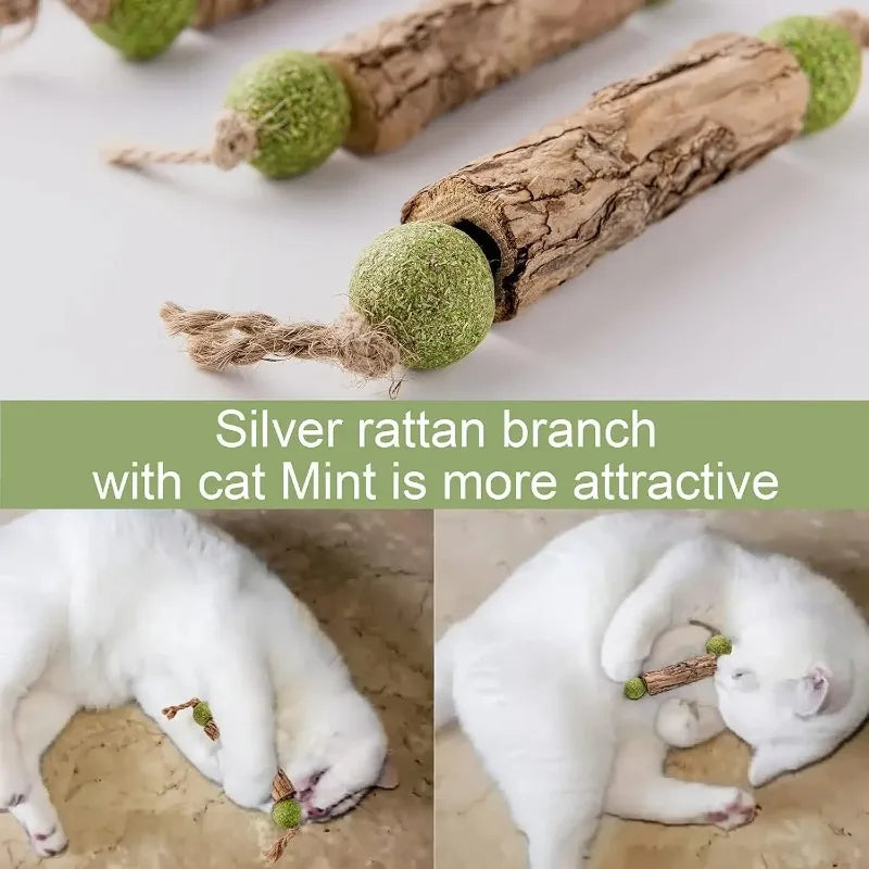 Natural Catnip & Silvervine Dental Sticks (3 pcs)