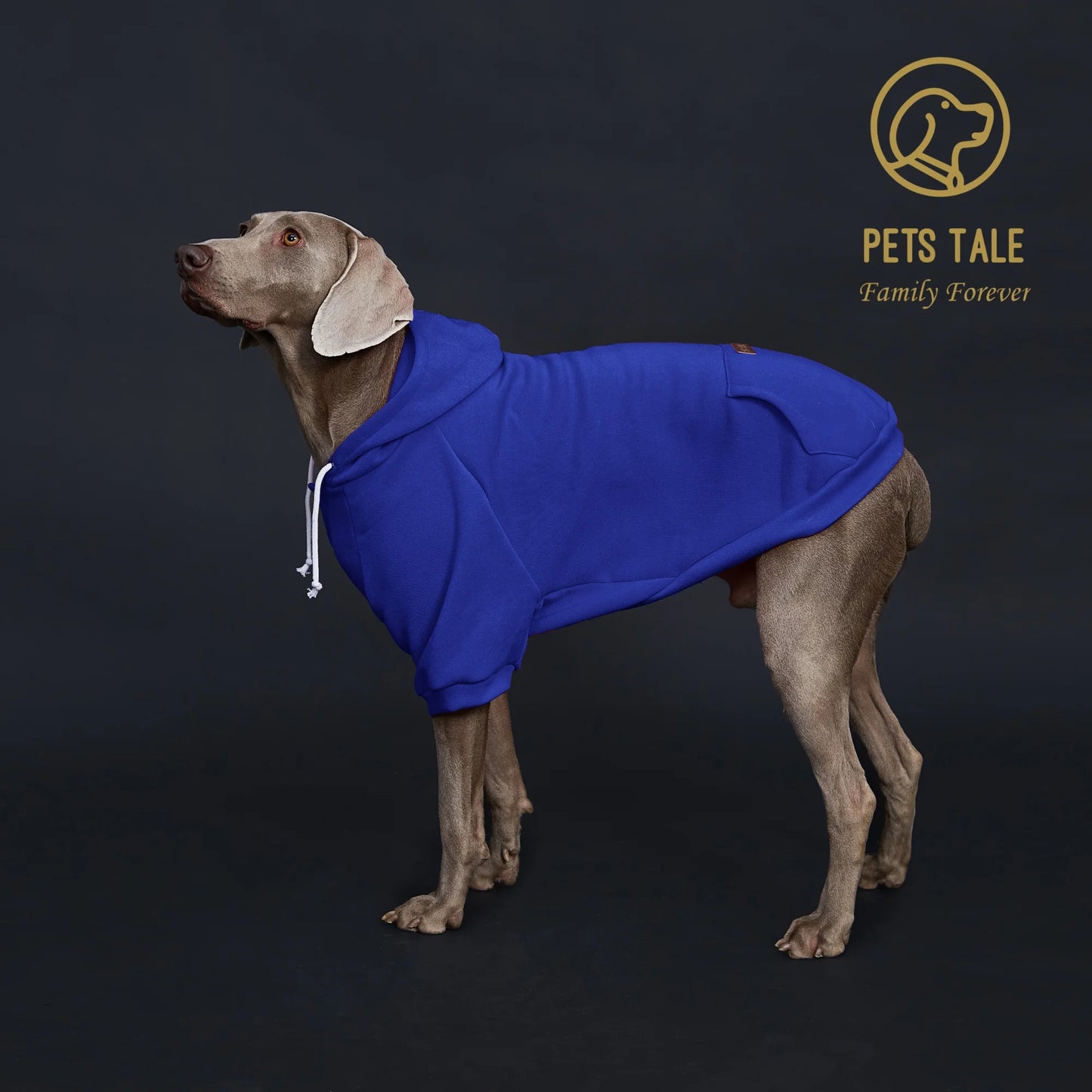 Dog Hoodie with Pocket